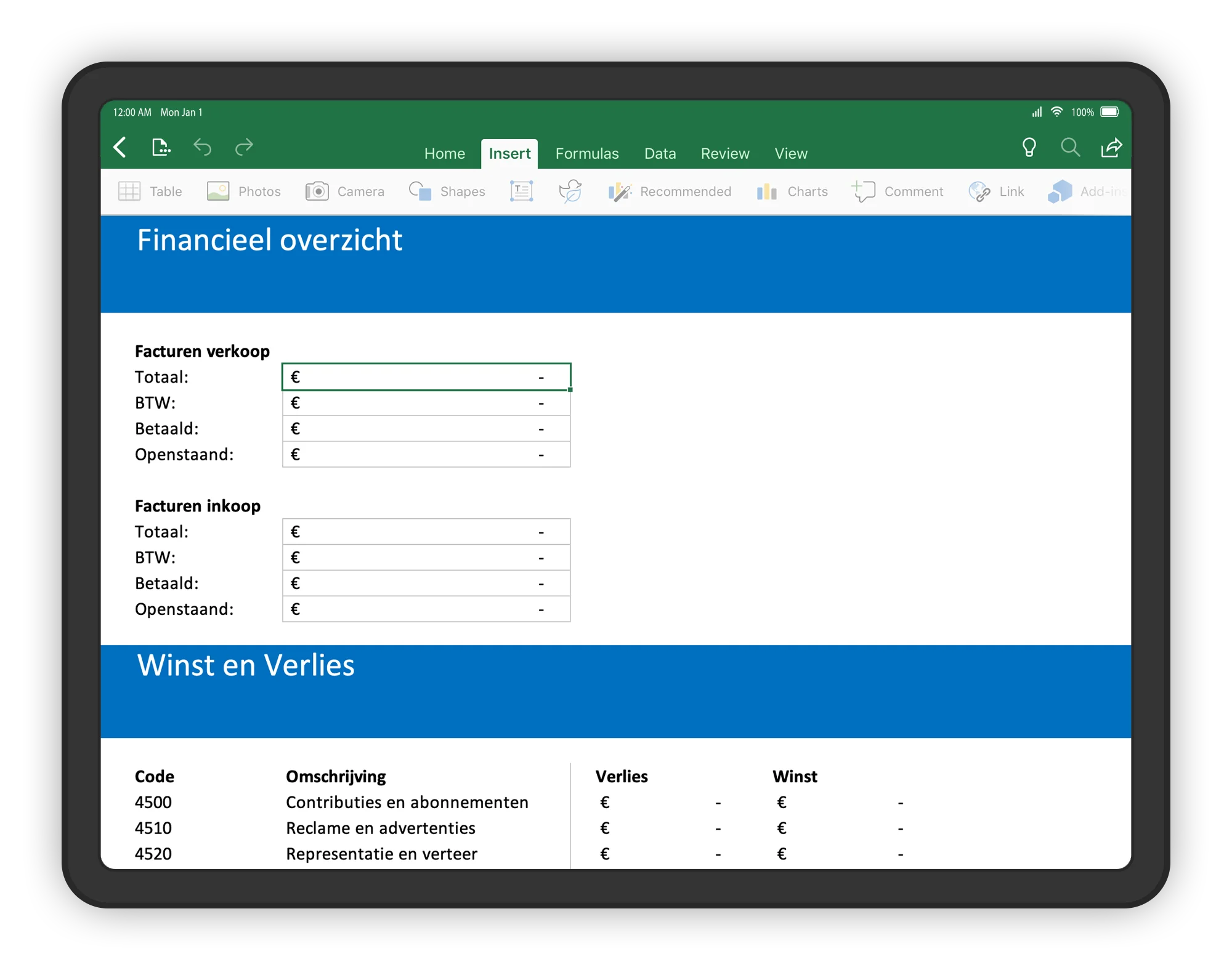 Financieel overzicht Excel-Boekhouden