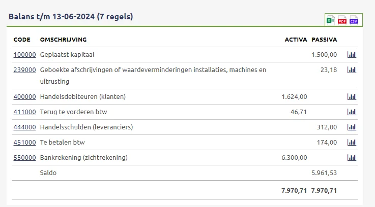 Balans voorbeeld